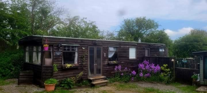 Ferny Roost Cabin. 렉섬 외부 사진